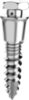 Picture of Infinity Maxillary Implant L 8.6 mm with Hole - Piece 